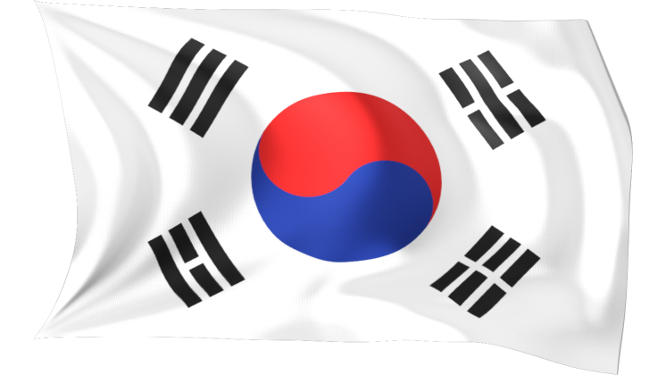 HD VFX of Looping Waving Flag South Korea