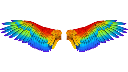 Rainbow Angel Wings Opening Front 1 Effect