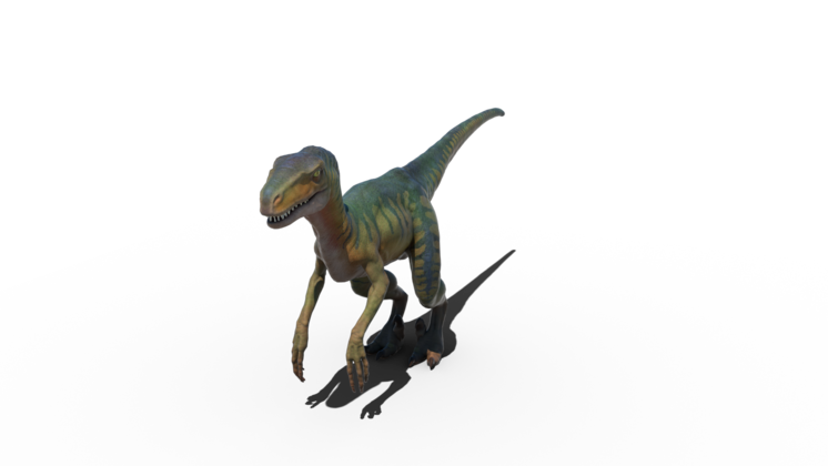 HD VFX of Velociraptor Idle 