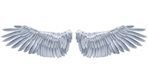 Looping Angel Wings Flapping 1 Effect