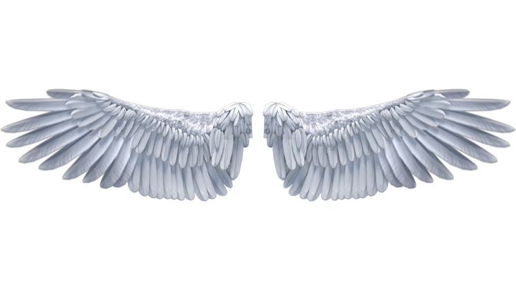 Free Video Effect of Looping Angel Wings Flapping 