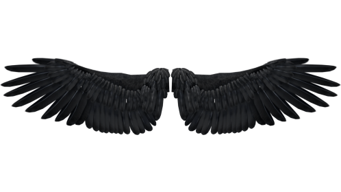 Looping Dark Angel Wings Flapping Quarter View 1 Effect