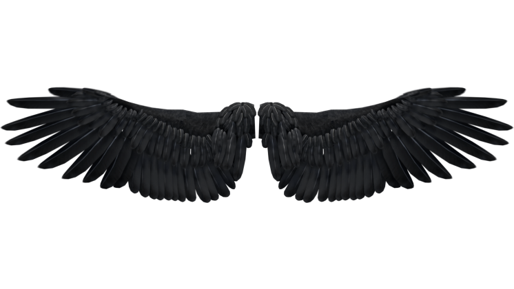 HD VFX of Looping Dark Angel Wings Flapping 