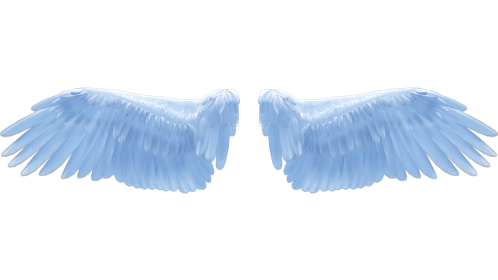 Looping Light Angel Wings Flapping 1 Effect