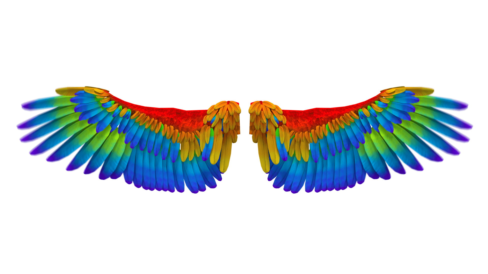 Looping Rainbow Angel Wings Flapping 1 VFX Downloads | FootageCrate ...