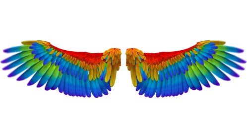 Looping Rainbow Angel Wings Flapping 1 Effect