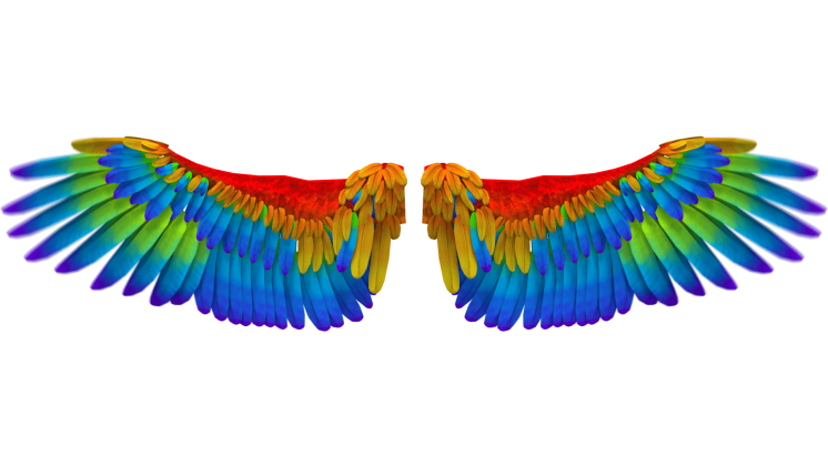 HD VFX of Looping Rainbow Angel Wings Flapping 