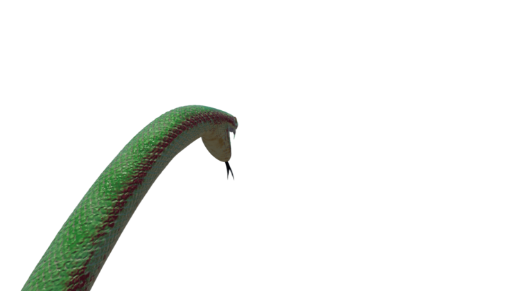HD VFX of  Green Python Attack 