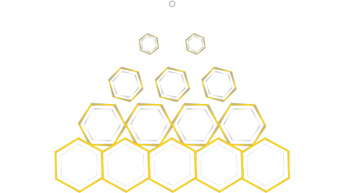 (4K) Mograph Honeycomb Build Effect