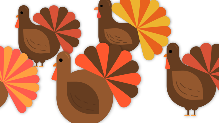 HD VFX of  Thanksgiving Transition Turkeys
