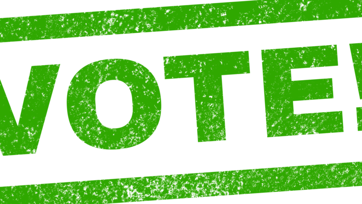 HD VFX of  Vote Stamp Meme 