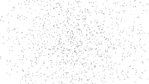 Bee Swarm Large Loopable Effect