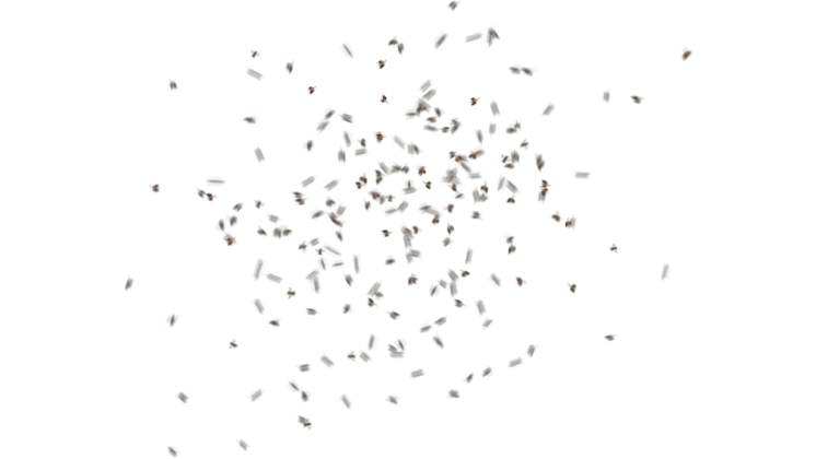 Free Video Effect of Bee Swarm Small Loopable