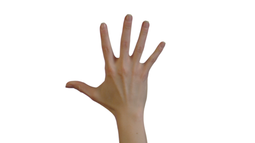 (4K) Female Hand - Release Effect