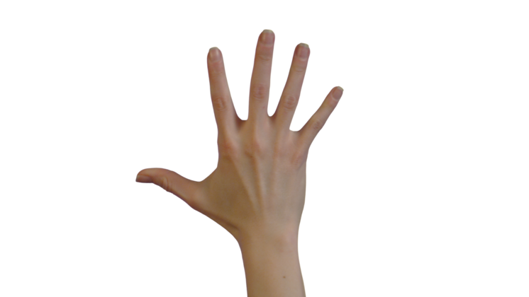 (4K) Female Hand - Release Effect