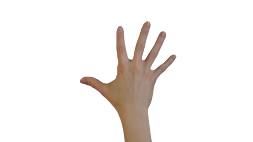 (4K) Female Hand - Scale Down Effect