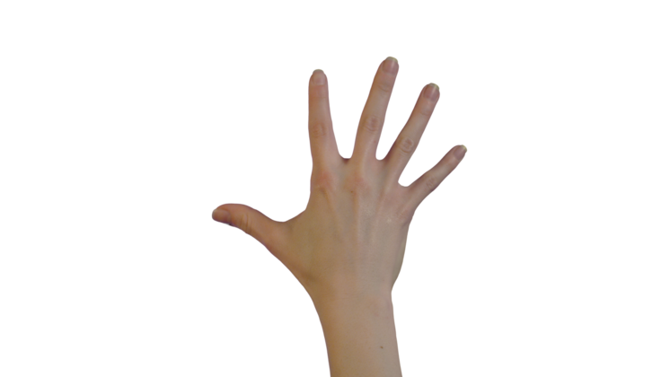 HD VFX of  Female Hand  Scale Down
