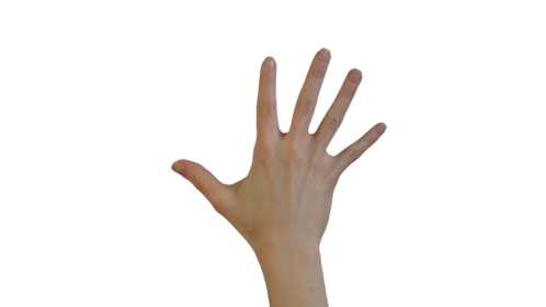 (4K) Female Hand - Scale Up Effect
