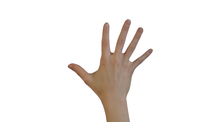 HD VFX of  Female Hand  Scale 