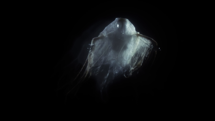 Free Video Effect of Halloween Projector Ghost Groana Lisa 