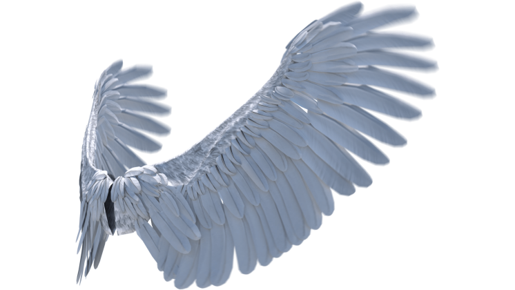 HD VFX of  Looping Angel Wings Flapping Quarter View 