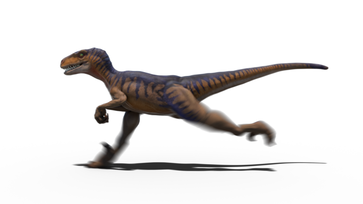 Free Video Effect of Looping Velociraptor Running 