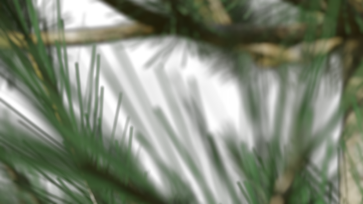 HD VFX of Looping Windy Pine Tree Foreground 