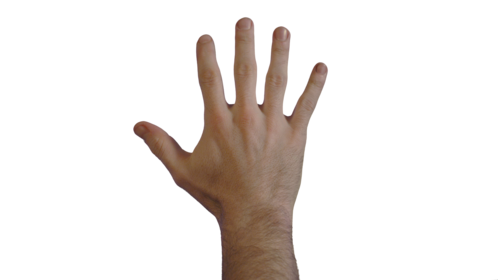 (4K) Male Hand - Release Effect