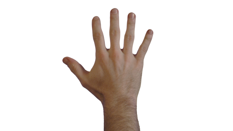 HD VFX of  Male Hand  Release