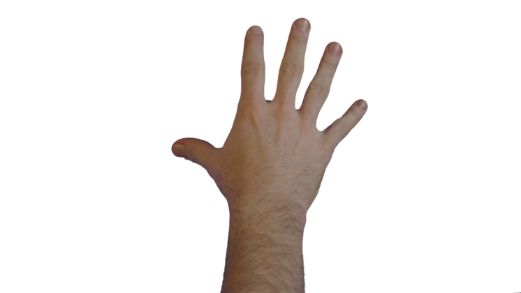 HD VFX of  Male Hand  Scale Down