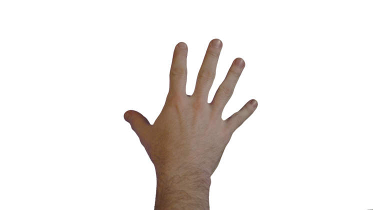 HD VFX of  Male Hand  Scale 