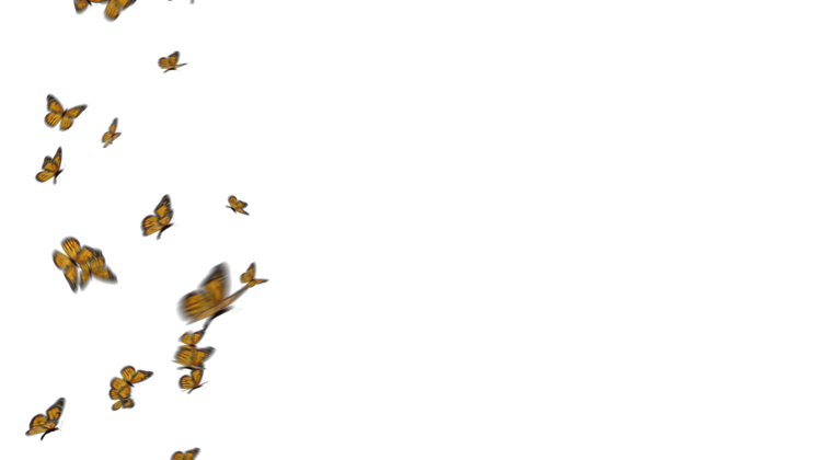 HD VFX of  Monarch Butterflies 