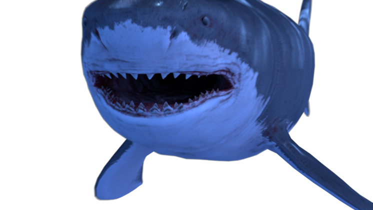 Free Video Effect of Shark Biting Camera 
