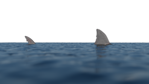 Shark Fin Above Water 1 Effect