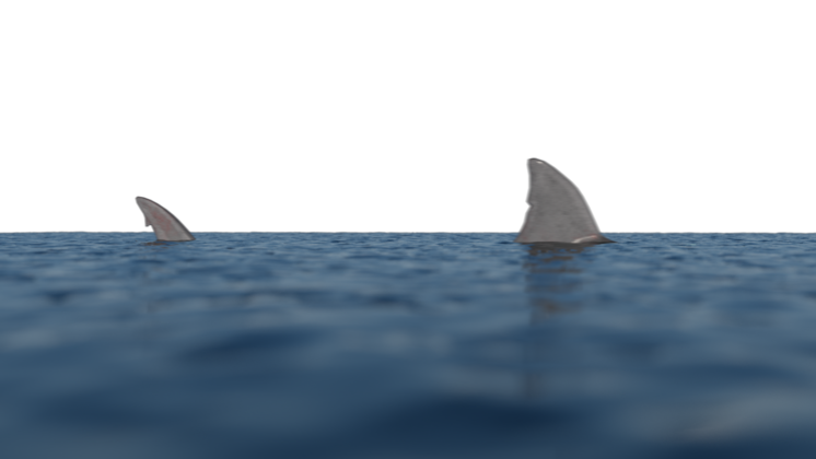 HD VFX of Shark Fin Above Water 