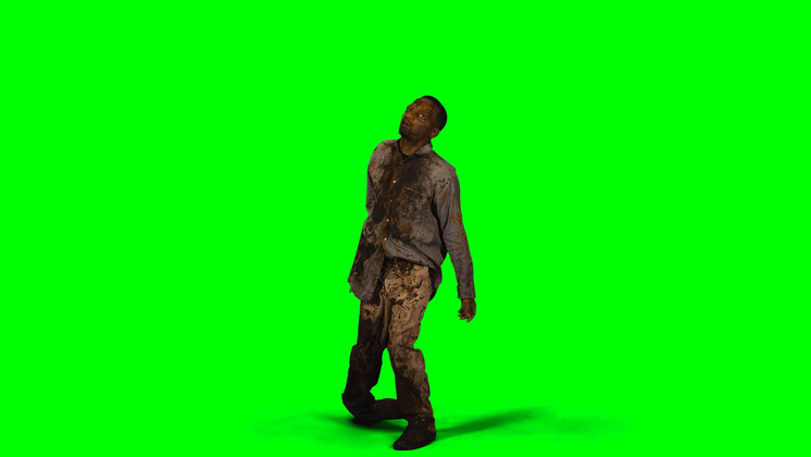 Free Video Effect of Zombie  Wide Standing Towards Camera