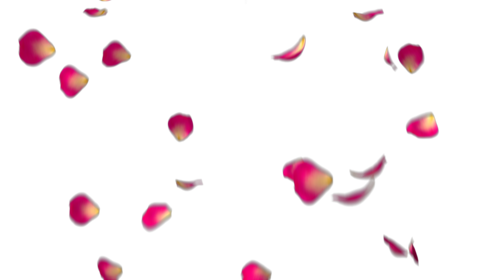Rose Petals - Dark Pink 1 Effect