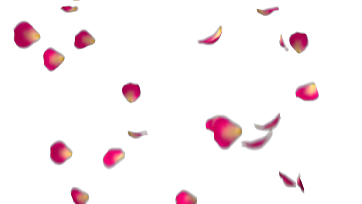 HD VFX of Rose Petals  Dark Pink 