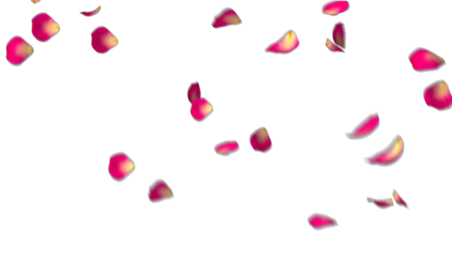 Rose Petals - Dark Pink 2 Effect