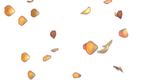 Rose Petals - Orange Hue 1 Effect