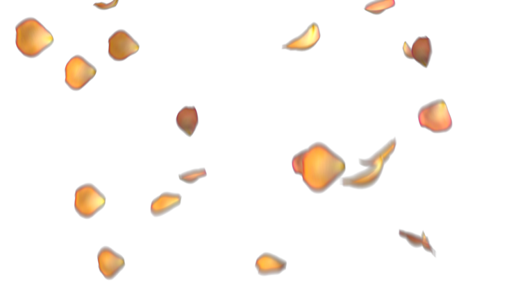 HD VFX of Rose Petals  Orange Hue 