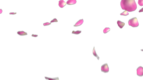Rose Petals - Pink 1 Effect