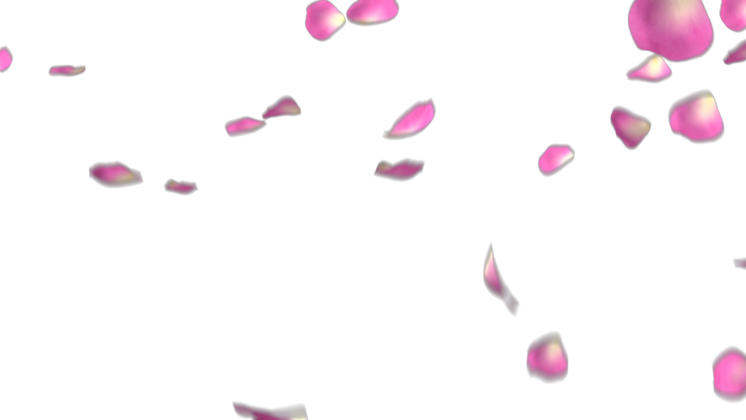 HD VFX of Rose Petals  Pink 