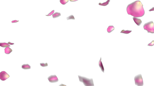 Rose Petals - Pink 3 Effect