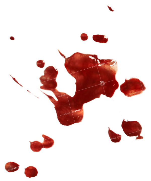 Blood Splatter 19