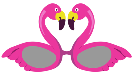 Flamingo Eyeglasses