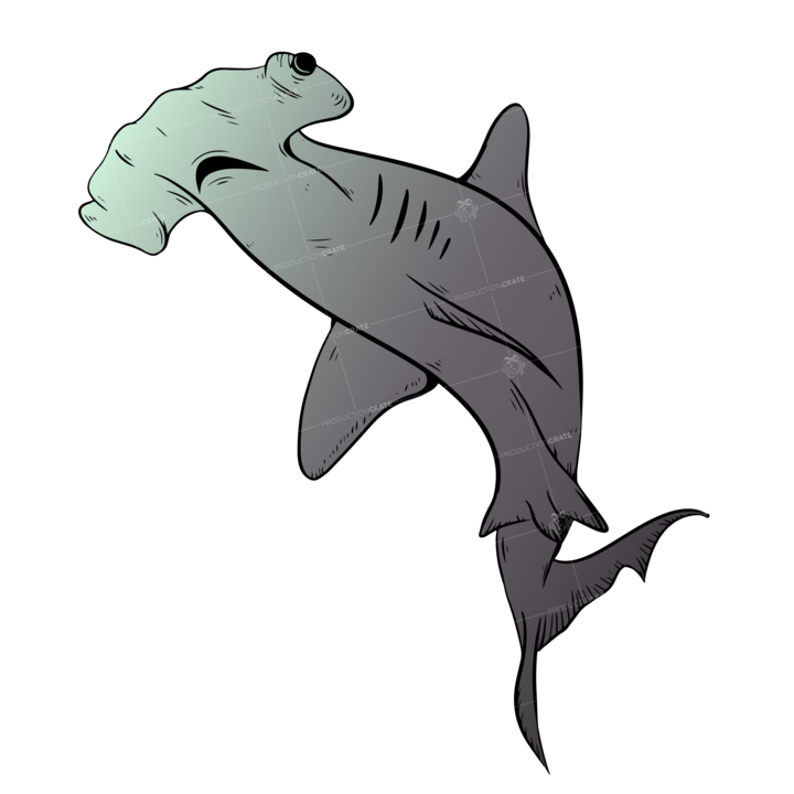 Hammerhead Shark Illustrated Grey