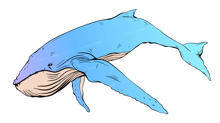 Whale Graffiti Blue 3