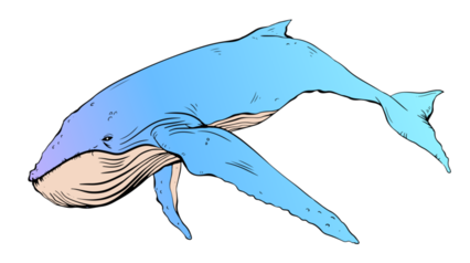 Whale Graffiti Blue 3