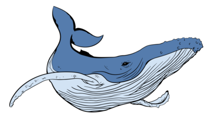 Whale Graffiti Blue 1